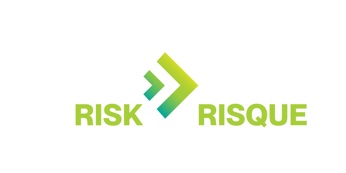 Seeing Beyond Risk